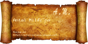 Antal Miléna névjegykártya